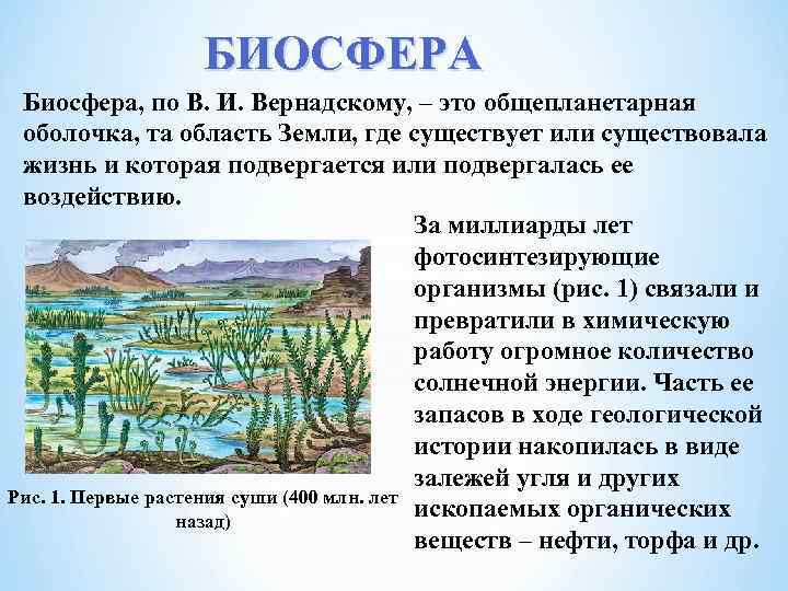 БИОСФЕРА Биосфера, по В. И. Вернадскому, – это общепланетарная оболочка, та область Земли, где