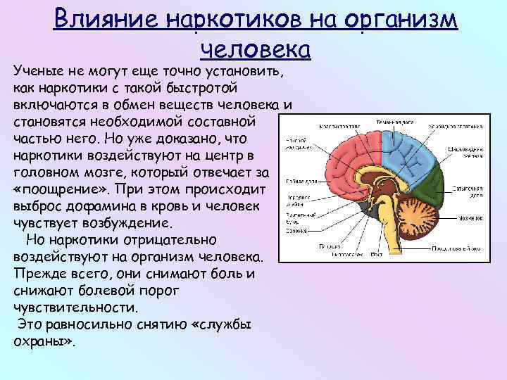 Влияние наркотиков на организм человека Ученые не могут еще точно установить, как наркотики с