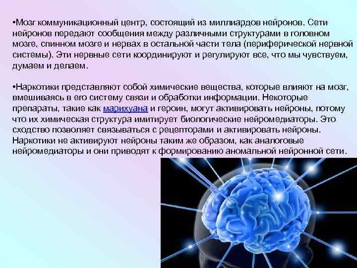  • Мозг коммуникационный центр, состоящий из миллиардов нейронов. Сети нейронов передают сообщения между