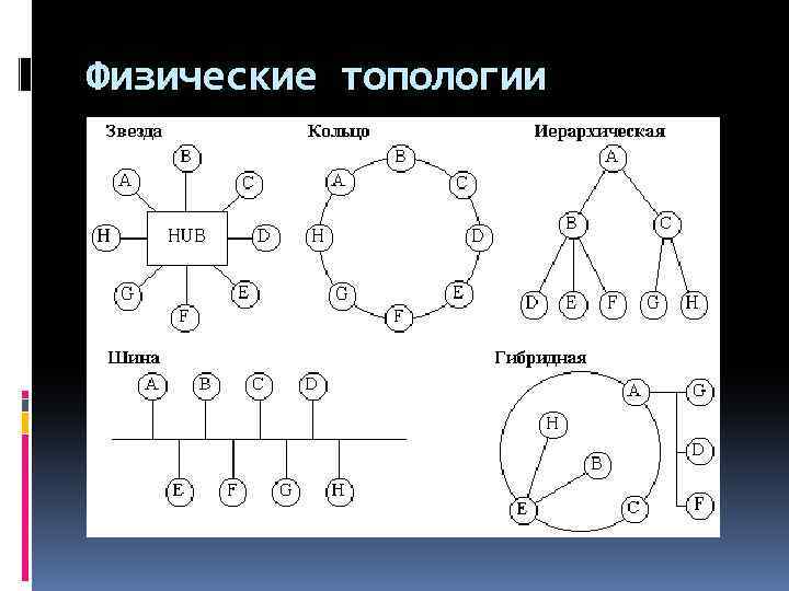 Сетевые модели презентация