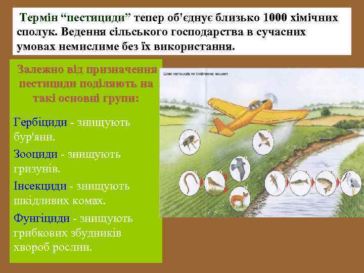 Термін “пестициди” тепер об'єднує близько 1000 хімічних сполук. Ведення сільського господарства в сучасних умовах