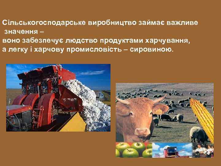 Сільськогосподарське виробництво займає важливе значення – воно забезпечує людство продуктами харчування, а легку і