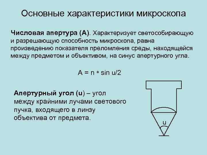 Характеристика изображения в микроскопе