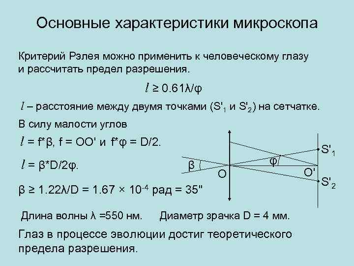 Ход лучей в микроскопе схема с подписями