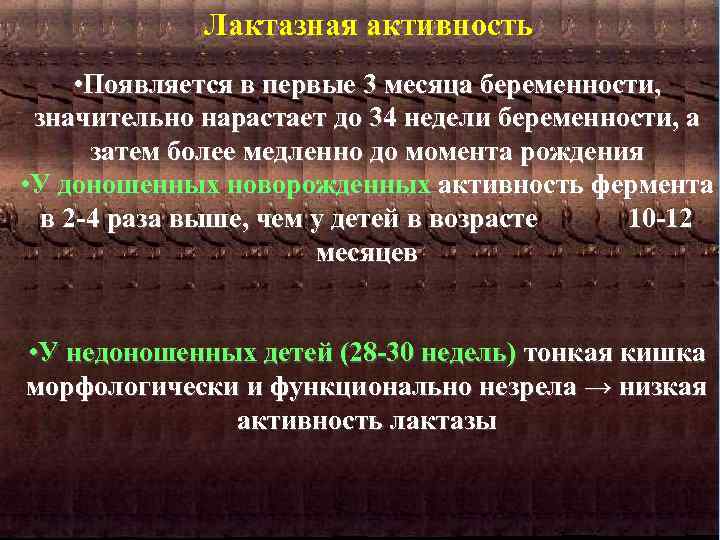 Лактазная активность • Появляется в первые 3 месяца беременности, значительно нарастает до 34 недели