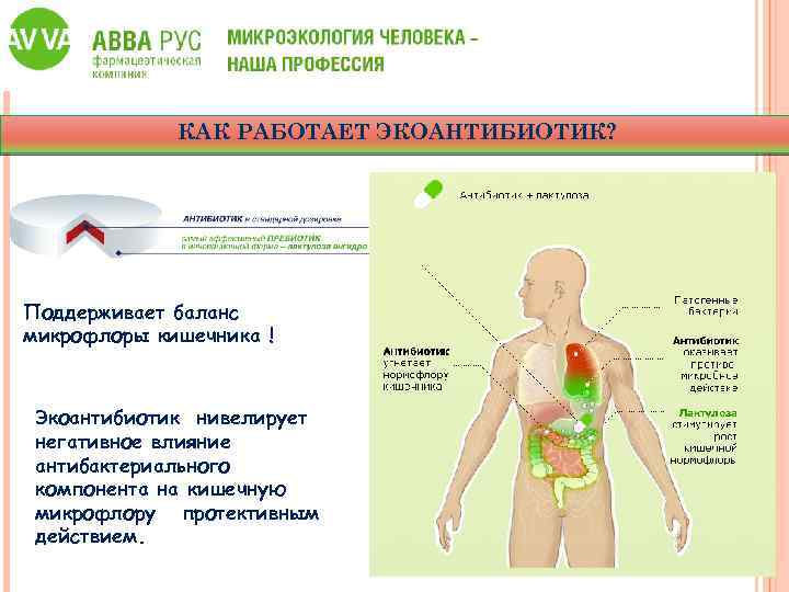 КАК РАБОТАЕТ ЭКОАНТИБИОТИК? Поддерживает баланс микрофлоры кишечника ! Экоантибиотик нивелирует негативное влияние антибактериального компонента