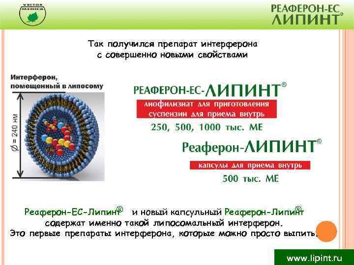 Так получился препарат интерферона с совершенно новыми свойствами ® ® Реаферон-ЕС-Липинт и новый капсульный