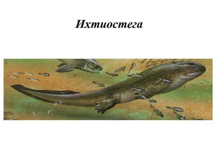 Ихтиостега 