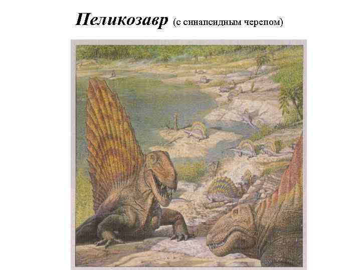Палеозойское земноводное. Пеликозавр. Первые наземные животные. Первые Сухопутные животные. Динозавр живший в палеозойской эре с парусником.