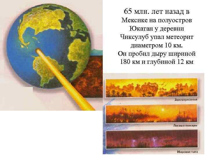 65 млн. лет назад в Мексике на полуостров Юкатан у деревни Чиксулуб упал метеорит