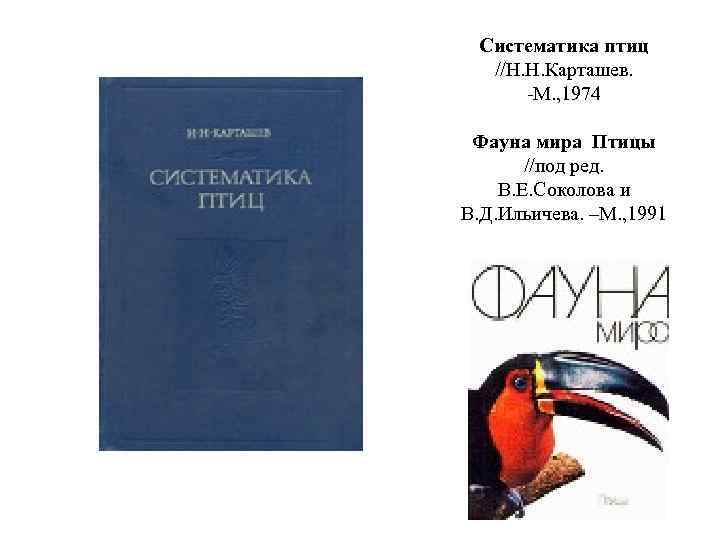 Систематика книга. Карташёв н. н. систематика птиц.