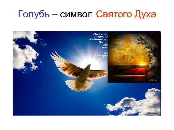 Голубь – символ Святого Духа 