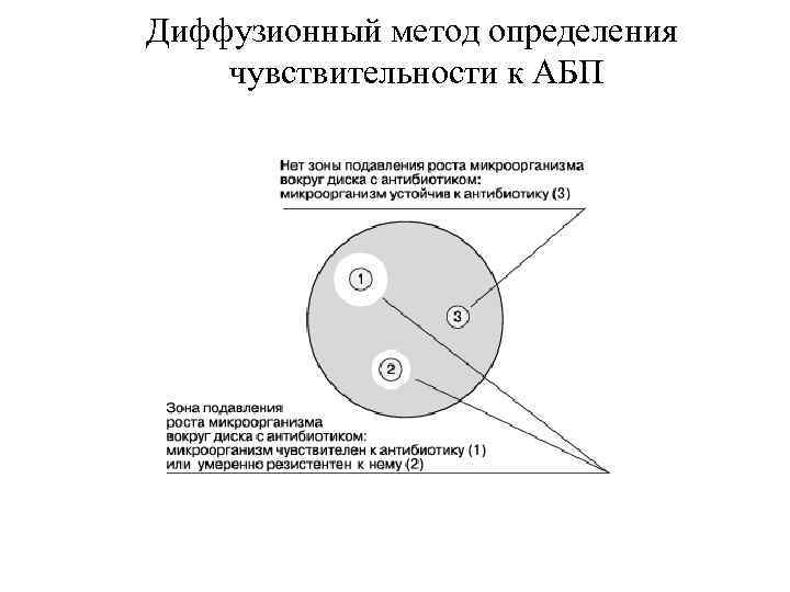 Диффузионный метод определения чувствительности к АБП 