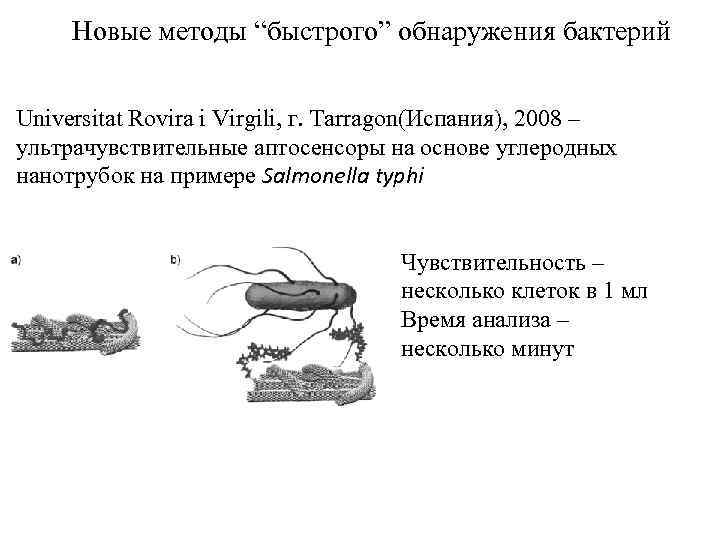 Новые методы “быстрого” обнаружения бактерий Universitat Rovira i Virgili, г. Tarragon(Испания), 2008 – ультрачувствительные