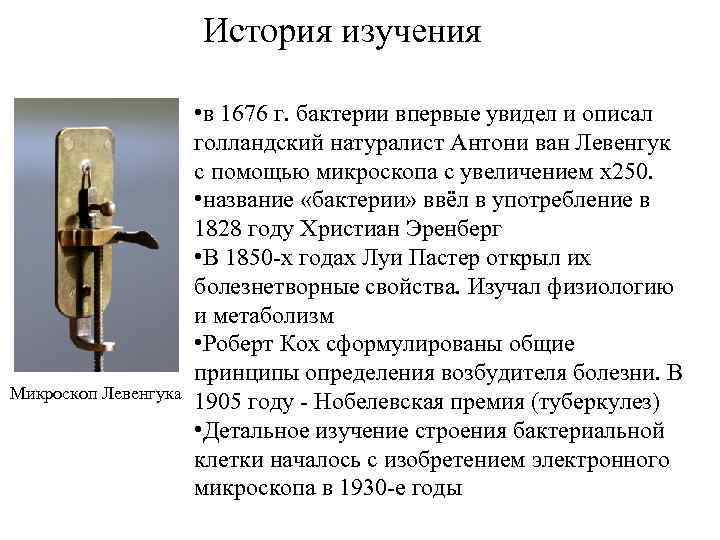История изучения Микроскоп Левенгука • в 1676 г. бактерии впервые увидел и описал голландский