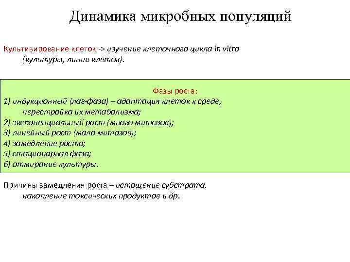 Динамика микробных популяций Культивирование клеток -> изучение клеточного цикла in vitro (культуры, линии клеток).