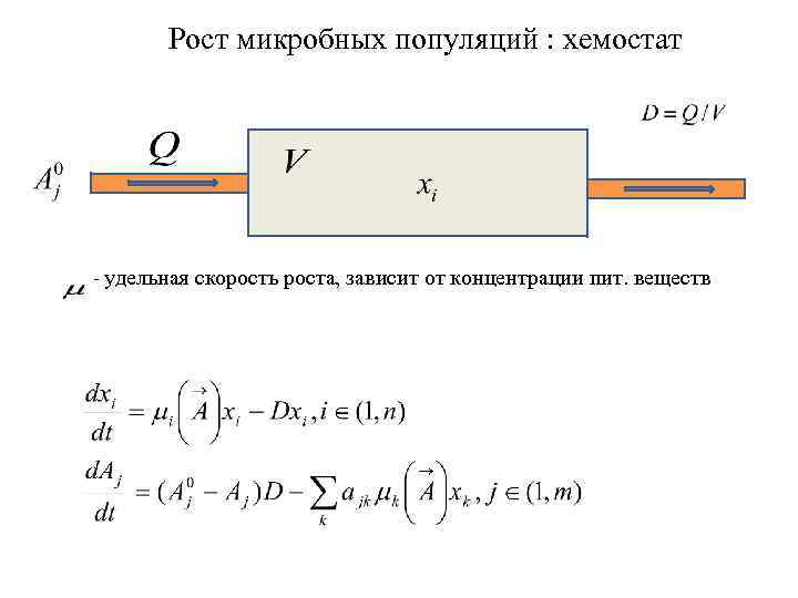 Рост микробных популяций : хемостат - удельная скорость роста, зависит от концентрации пит. веществ