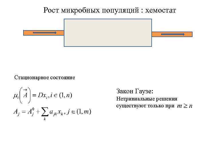 Рост микробных популяций : хемостат Стационарное состояние Закон Гаузе: Нетривиальные решения существуют только при