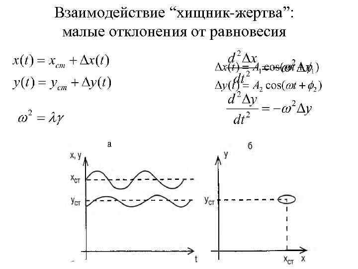 Взаимодействие “хищник-жертва”: малые отклонения от равновесия 