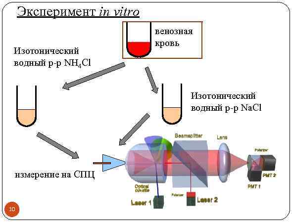 Эксперимент in vitro Изотонический водный р-р NH 4 Cl венозная кровь Изотонический водный р-р