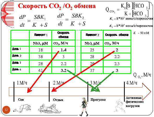 Скорость CO 2 /O 2 обмена Пациент 1 Nb 3, m. M Скорость обмена