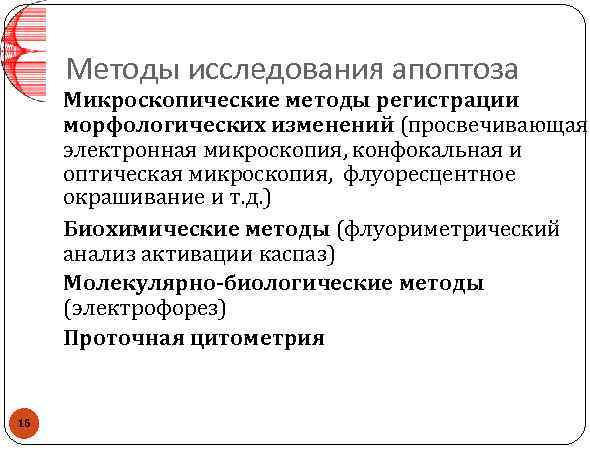 Методы исследования апоптоза Микроскопические методы регистрации морфологических изменений (просвечивающая электронная микроскопия, конфокальная и оптическая