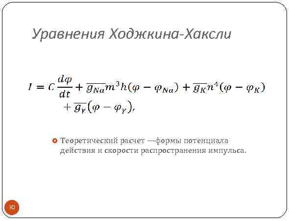 Уравнения Ходжкина-Хаксли 30 Теоретический расчет —формы потенциала действия и скорости распространения импульса. 