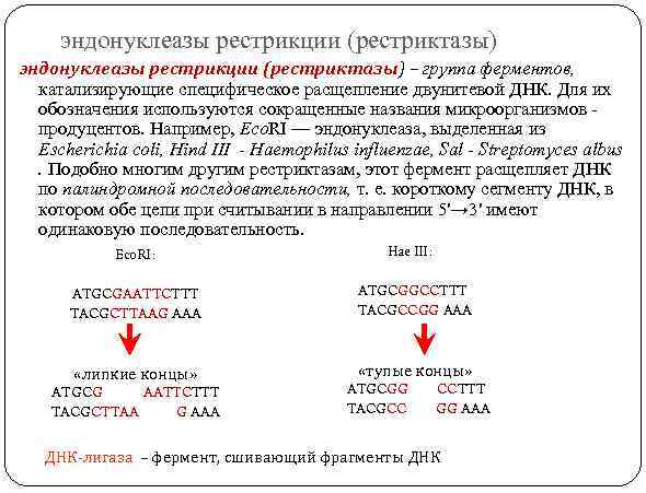 эндонуклеазы рестрикции (рестриктазы) – группа ферментов, катализирующие специфическое расщепление двунитевой ДНК. Для их обозначения