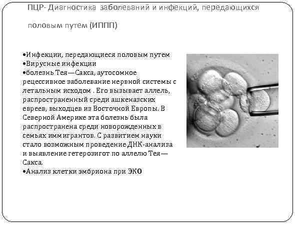 ПЦР- Диагностика заболеваний и инфекций, передающихся половым путем (ИППП) • Инфекции, передающиеся половым путем