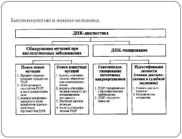 Биотехнологии в жизни человека. 