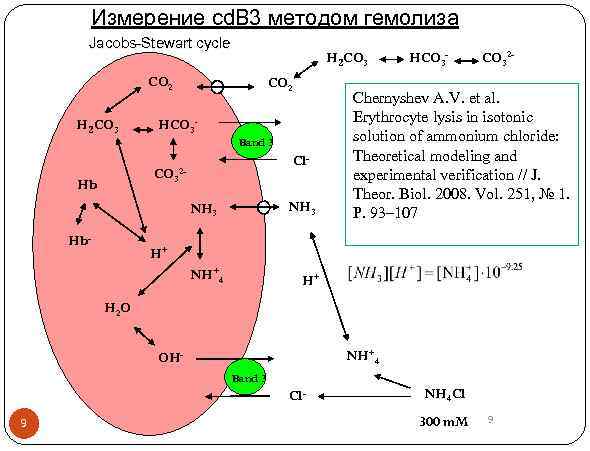 Измерение сd. B 3 методом гемолиза Jacobs-Stewart cycle H 2 CO 3 CO 2