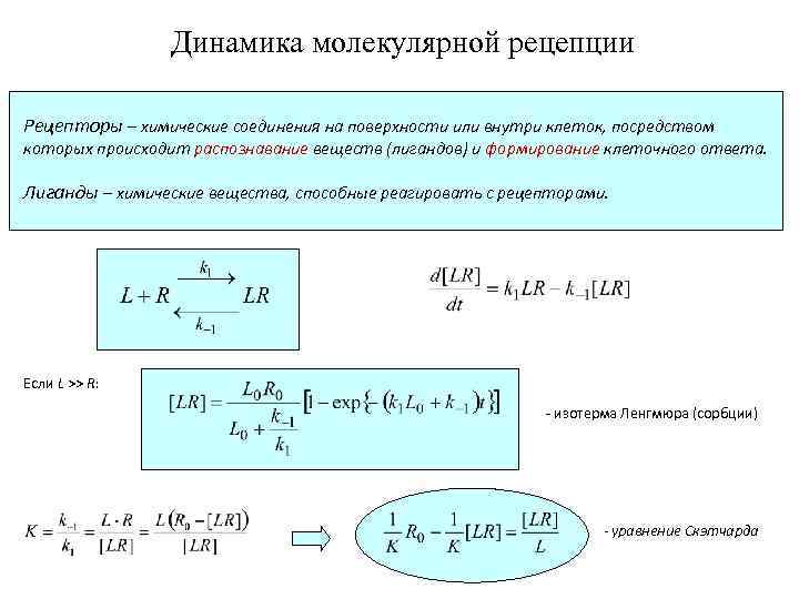 Динамика молекулярной рецепции Рецепторы – химические соединения на поверхности или внутри клеток, посредством которых