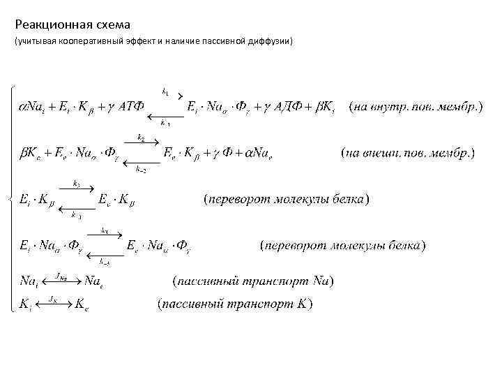 Реакционная схема (учитывая кооперативный эффект и наличие пассивной диффузии) 