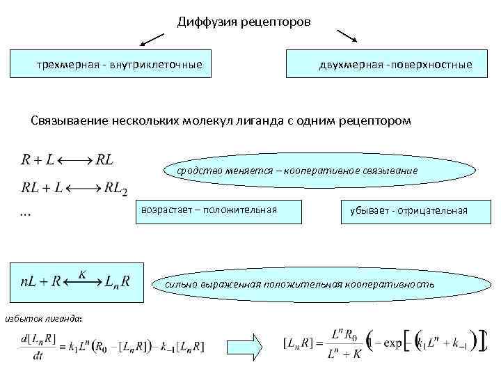 Диффузия рецепторов трехмерная - внутриклеточные двухмерная -поверхностные Связываение нескольких молекул лиганда с одним рецептором
