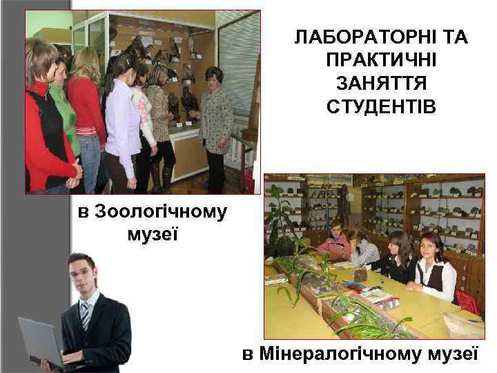 ЛАБОРАТОРНІ ТА ПРАКТИЧНІ ЗАНЯТТЯ СТУДЕНТІВ в Зоологічному музеї в Мінералогічному музеї 