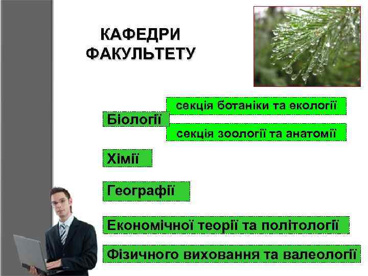 КАФЕДРИ ФАКУЛЬТЕТУ Біології секція ботаніки та екології секція зоології та анатомії Хімії Географії Економічної