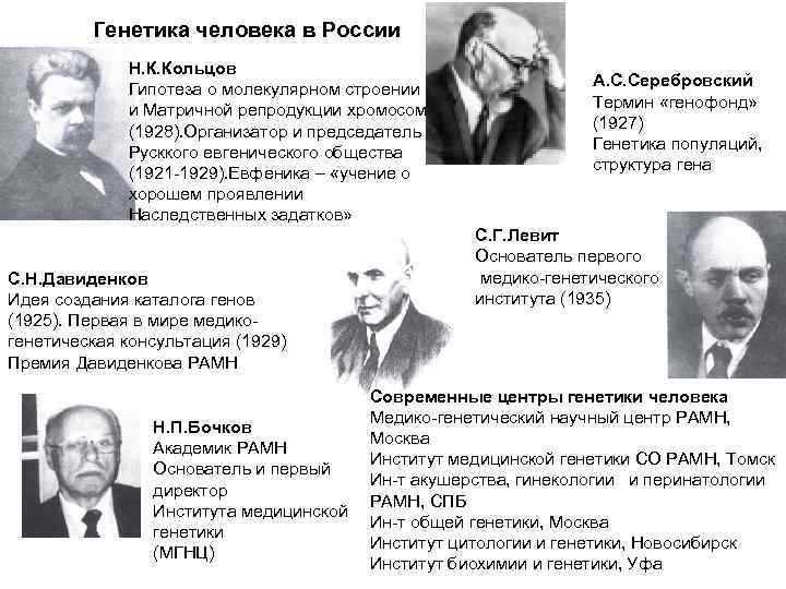 Генетика человека в России Н. К. Кольцов Гипотеза о молекулярном строении и Матричной репродукции