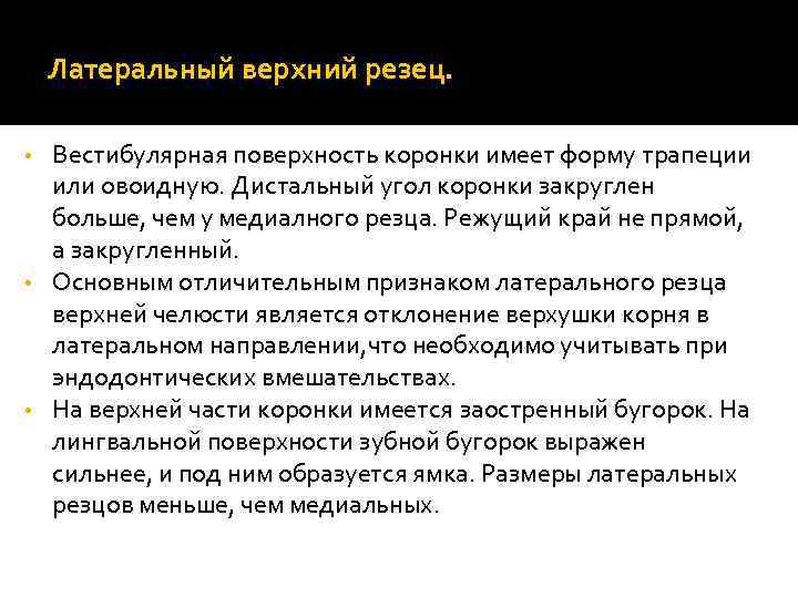 Латеральный верхний резец. Вестибулярная поверхность коронки имеет форму трапеции или овоидную. Дистальный угол коронки