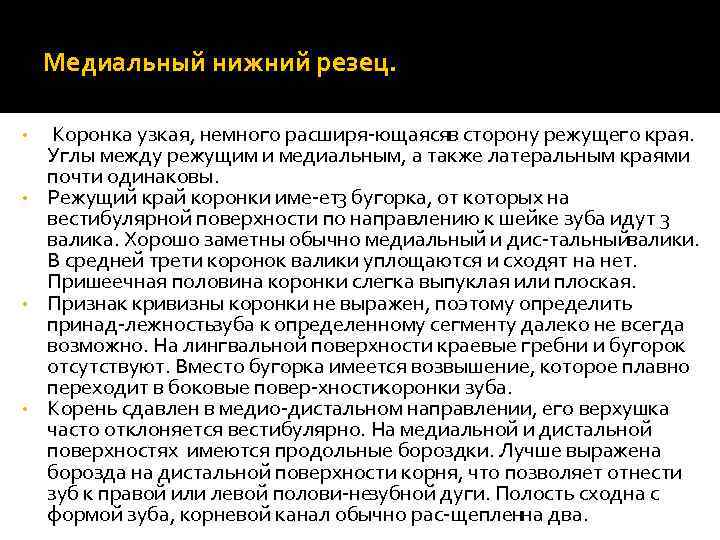 Медиальный нижний резец. Коронка узкая, немного расширя ющаясяв сторону режущего края. Углы между режущим