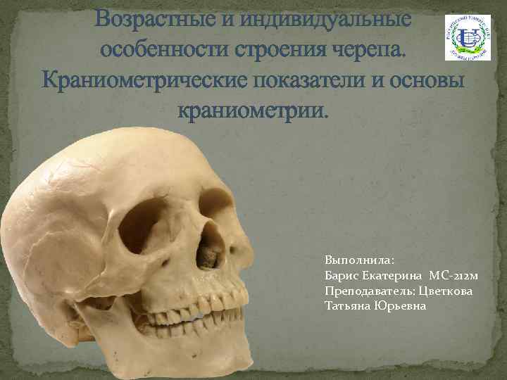 Возрастные и индивидуальные особенности строения черепа. Краниометрические показатели и основы краниометрии. Выполнила: Барис Екатерина