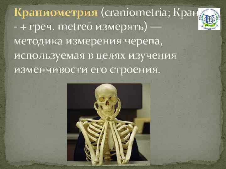 Краниометрия (craniometria; Кранио - + греч. metreō измерять) — методика измерения черепа, используемая в