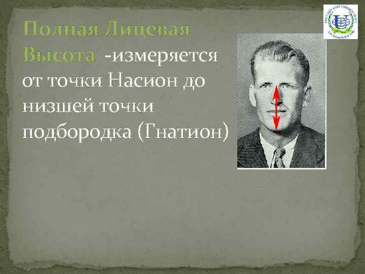 Полная Лицевая Высота -измеряется от точки Насион до низшей точки подбородка (Гнатион) 