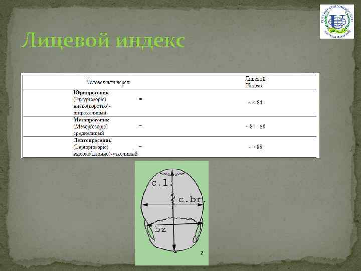 Лицевой индекс 