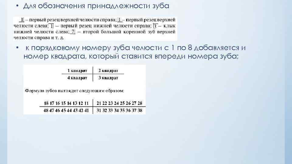  • Для обозначения принадлежности зуба • к порядковому номеру зуба челюсти с 1