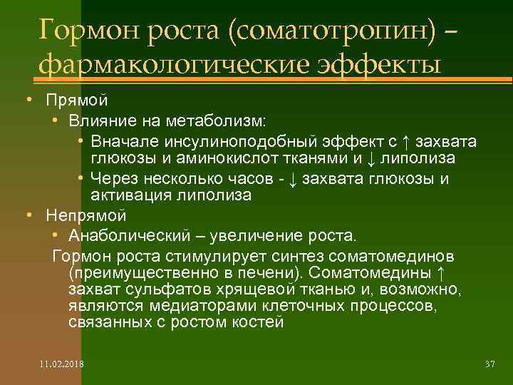 Гормон роста (соматотропин) – фармакологические эффекты • Прямой • Влияние на метаболизм: • Вначале