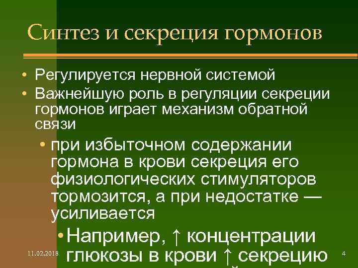 Синтез и секреция гормонов • Регулируется нервной системой • Важнейшую роль в регуляции секреции