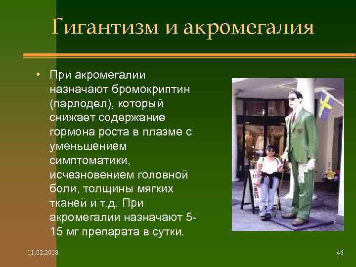 Гигантизм и акромегалия • При акромегалии назначают бромокриптин (парлодел), который снижает содержание гормона роста