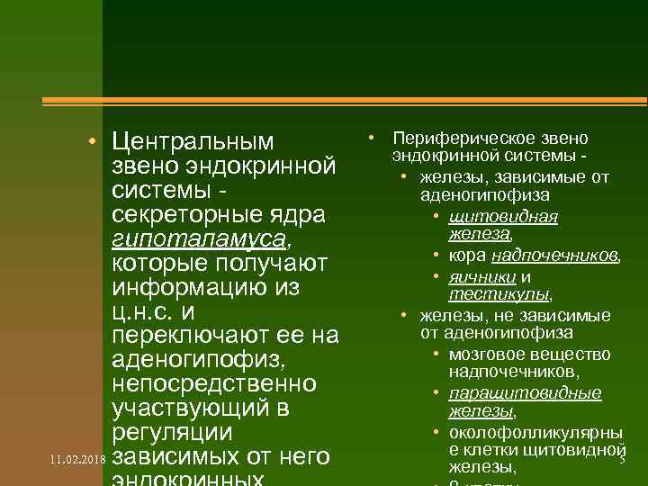  • Центральным звено эндокринной системы - секреторные ядра гипоталамуса, которые получают информацию из