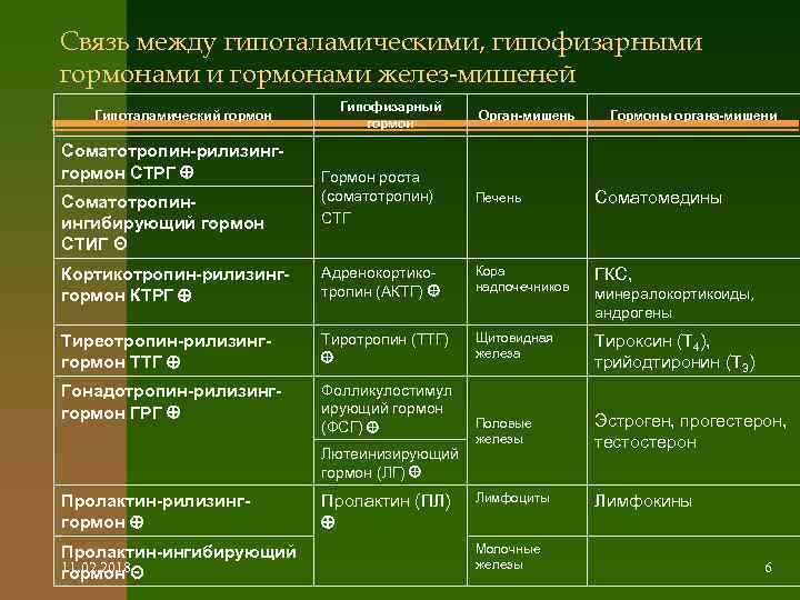 Связь между гипоталамическими, гипофизарными гормонами желез-мишеней Гипоталамический гормон Соматотропин-рилизинггормон СТРГ Гипофизарный гормон Орган-мишень Гормоны