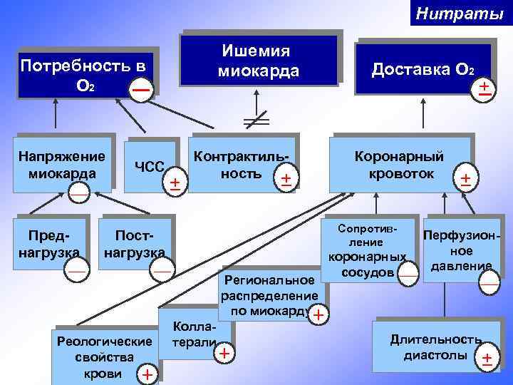 Нитраты Ишемия миокарда Потребность в О 2 Напряжение миокарда ЧСС — Преднагрузка — +